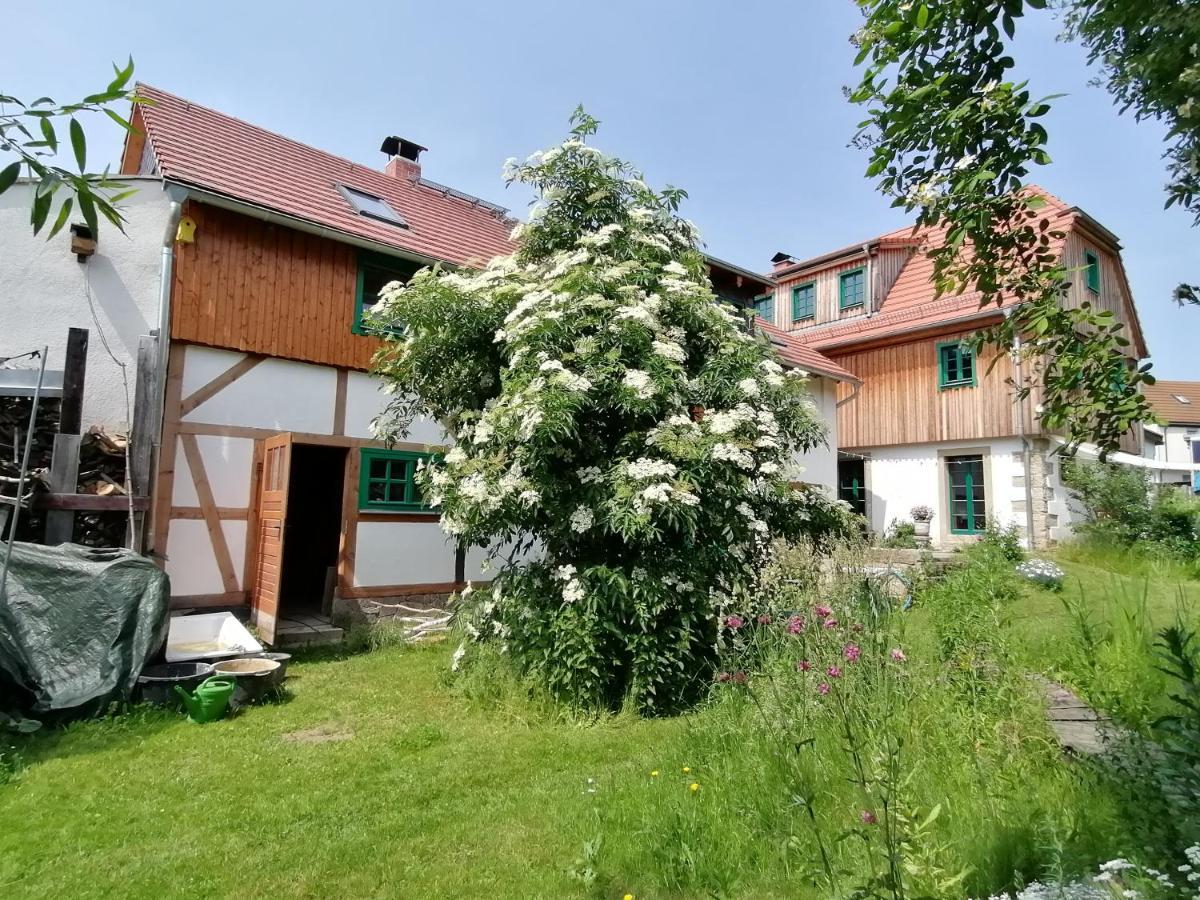 Ferienwohnung Villa Claudia Dresden Exterior foto
